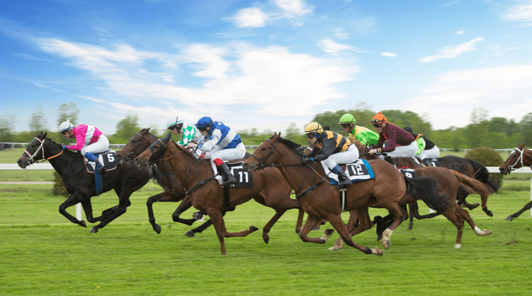 Cheltenham Day Trip - Wednesday 12 March